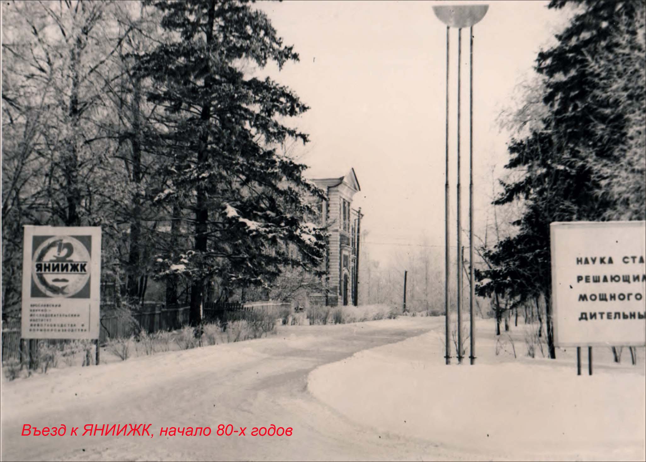 Об Институте — Ярославский НИИЖК — филиал ФНЦ 